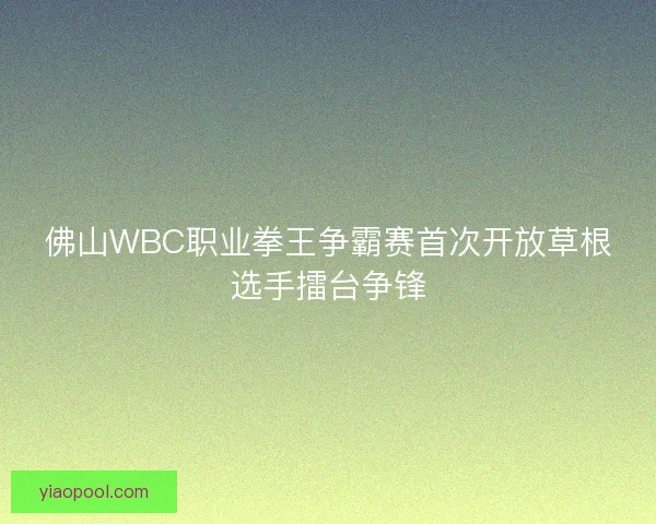 佛山WBC职业拳王争霸赛首次开放草根选手擂台争锋